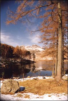 ref 049 Blea Tarn