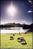ref 104 Derwentwater 'Queen of the Lakes'